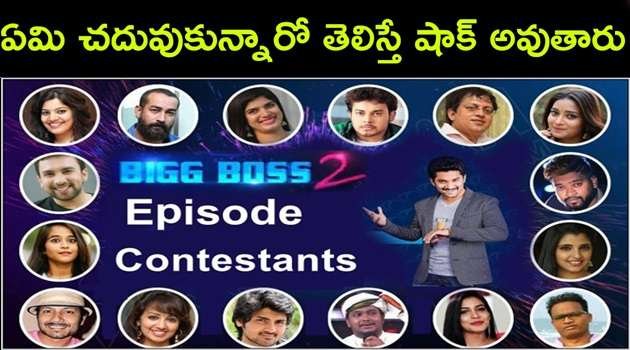 Educational Qualification Of Big Boss Telugu Season 2 Contestants