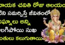 కష్టాలు, విఘ్నాలు తొలగిపోవడానికి వినాయక చవితి రోజు గణపతికి ఏం సమర్పించాలి?