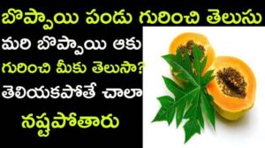 Benefits of Papaya Leaf Juice in Telugu