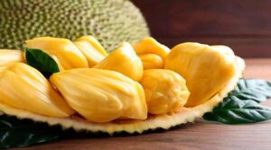 Jack Fruit Benefits In Telugu