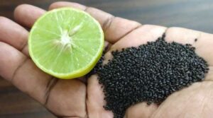 sabja weight loss drink