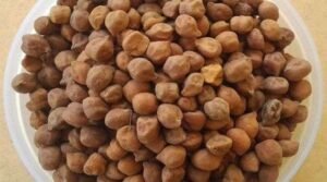 chickpeas in telugu