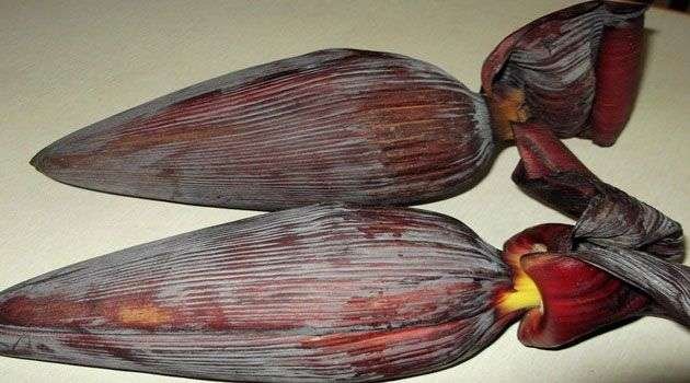 Banana Flower:అరటి పువ్వు  తింటున్నారా…. ఈ  ఒక్క నిజం  తెలుసుకోకపోతే నష్టపోతారు