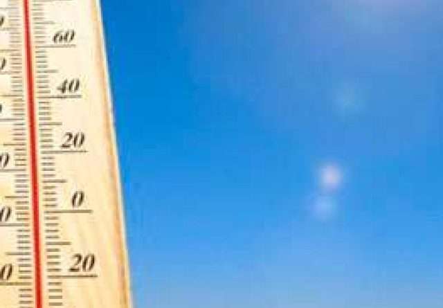 cropped-summer-1.jpg