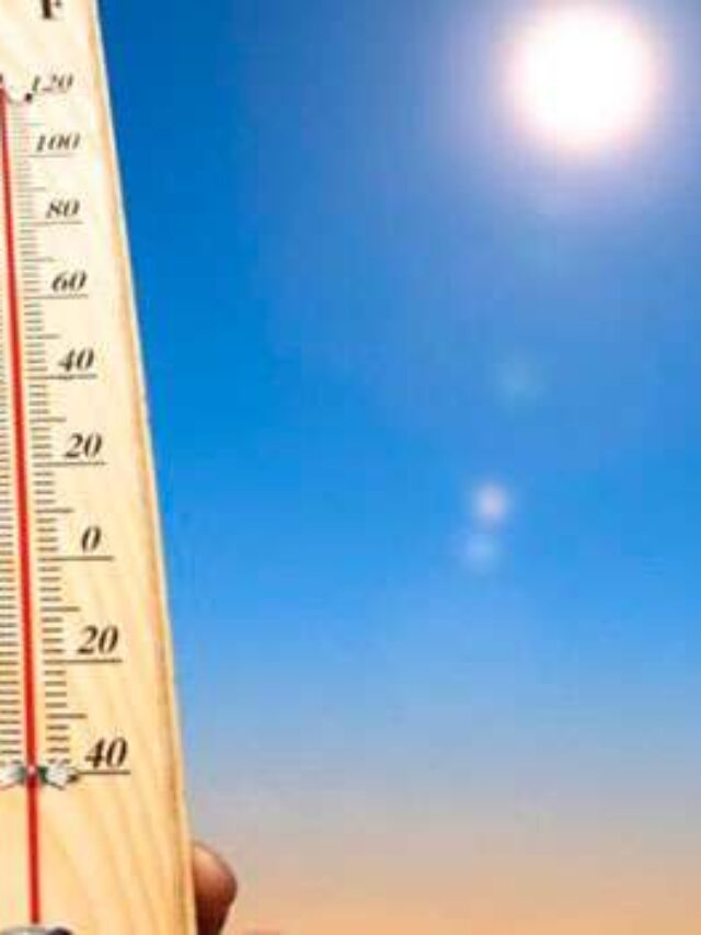 Summer Heat;ఎండ వేడిని తగ్గించి చల్లదనాన్ని అందించే 5 పండ్లు..