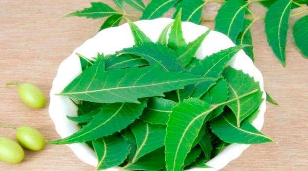 neem leaves benefits in telugu