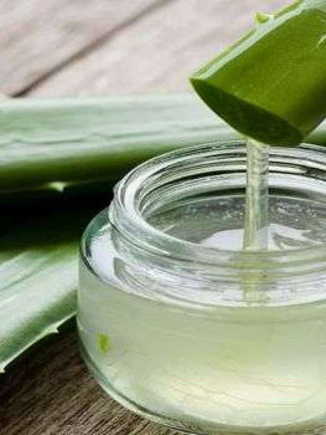 Alovera Juice:ఈ సమస్యలు ఉన్న వారు అలోవేరా జ్యూస్ తాగితే.. ఇక అంతే సంగతులు..