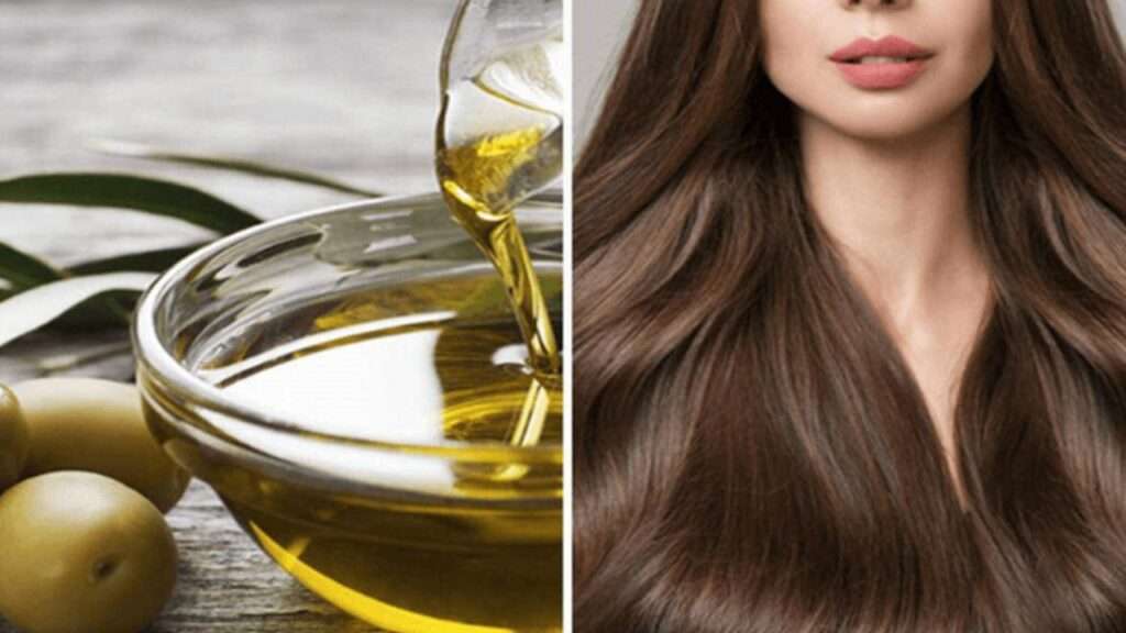 Olive oil benefits hair