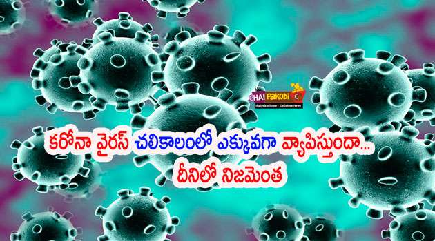 coronavirus spread Winter