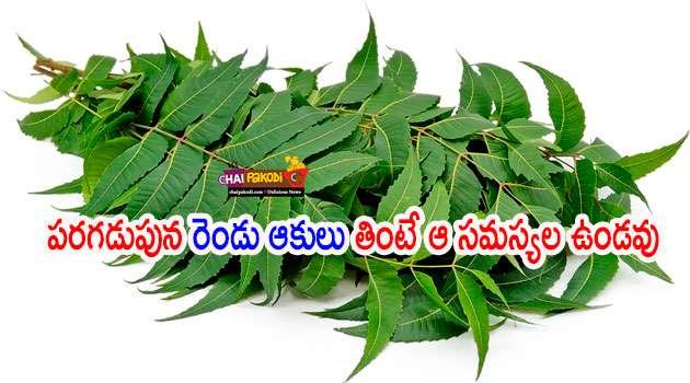 Neem Health Benefits