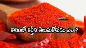 Testing Chilli Powder