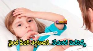 viral fever remedies in telugu