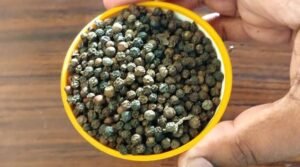 Black Pepper Benefits