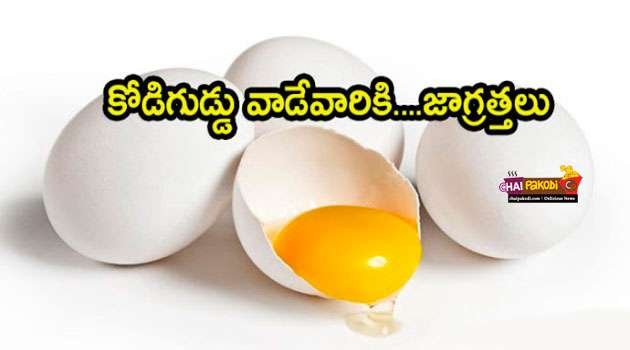 egg benefits in telugu
