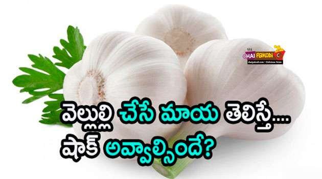 Garlic benefits In Telugu