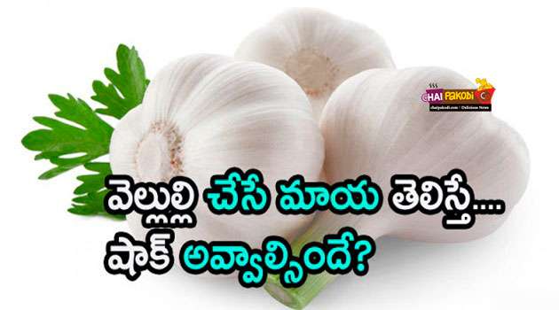 Garlic benefits In Telugu