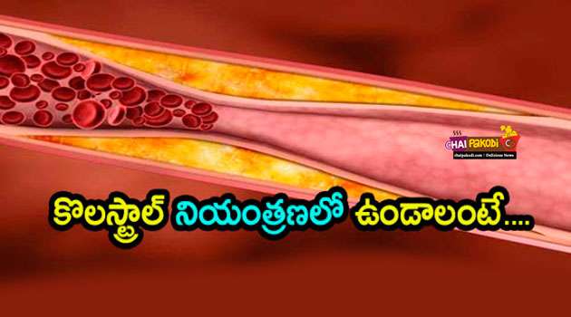 cholesterol control tips in telugu