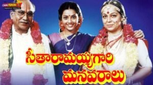 Seetharamayya Gari Manavaralu Movie