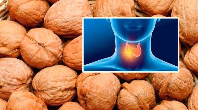 walnuts thyroid