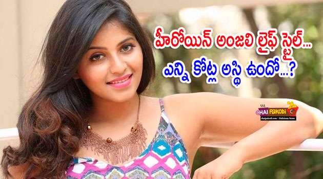 Telugu Actrss Anjali Luxury Lifestyle