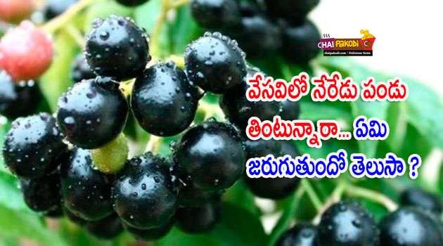 jamun fruit Benefits In telugu