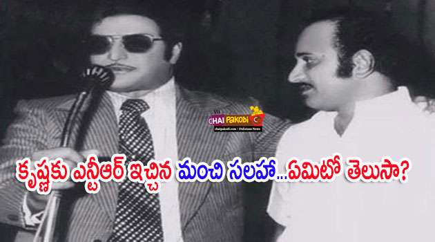 NTR advice to Supersta Krishna