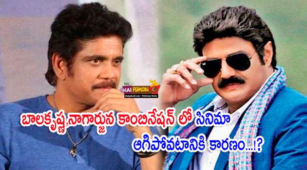 Bala Krishna And Nagarjuna