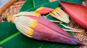 Banana Flower Benefits In Telugu