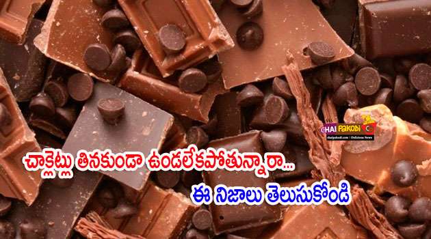 Chocolate Facts
