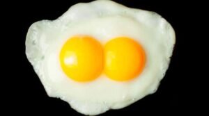 Egg Benefits In Telugu