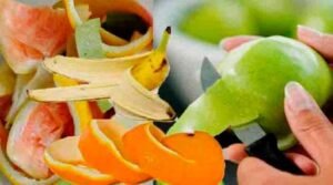 Fruit peel benefits in telugu