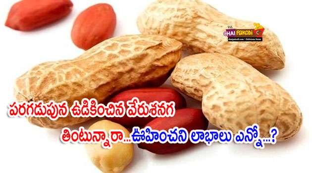 ground nuts Benefits In telugu