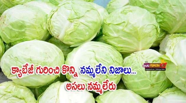 cabbage Health Benefits In Telugu