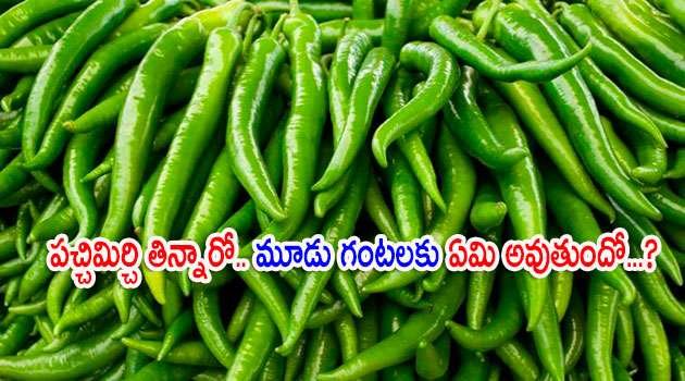 Green Chilli Benefits In Telugu
