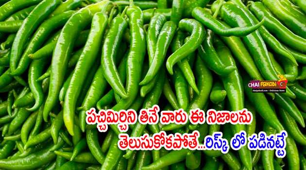 Green Chillies Benefits in telugu