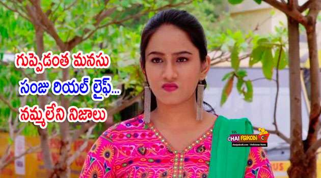 Guppedantha manasu serial sanju