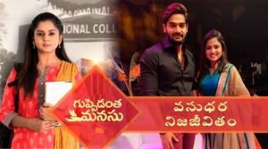 Guppedantha manasu serial vasundhara