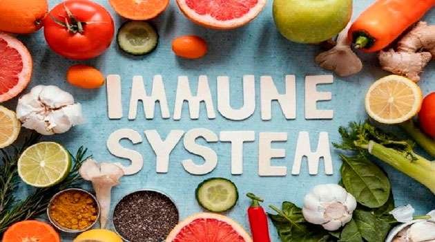 Immunity foods