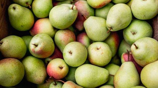 Pear Fruits Benefits In telugu
