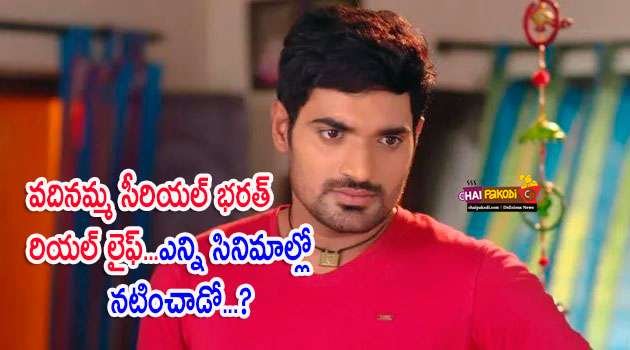 Vadinamma serial Bharath