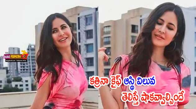 katrina kaif net worth