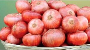 Eating raw onion with meals health benefits telugu