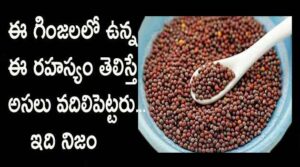 mustard seeds Benefits in telugu