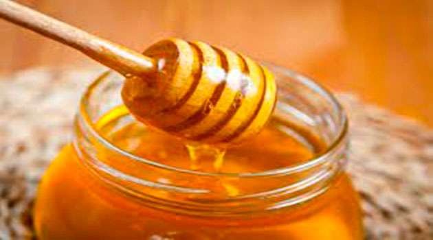 Honey benefits in telugu