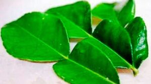 Lemon Leaves benefits