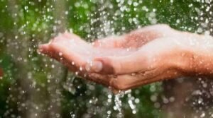 Rain Water Benefits 1