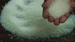 Saggubiyyam Health benefits in Telugu