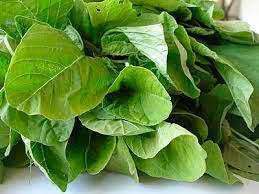 Thotakura beenfits useful