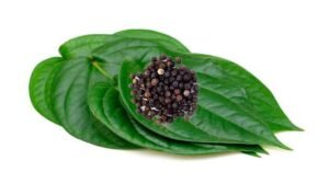 Health benefits of chewing betel leaves with pepper