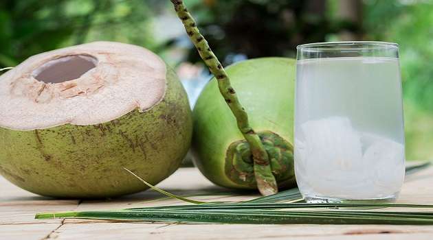 Coconut Water Benefits in Telugu
